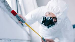 Professional Pest Control in Monroe, NC